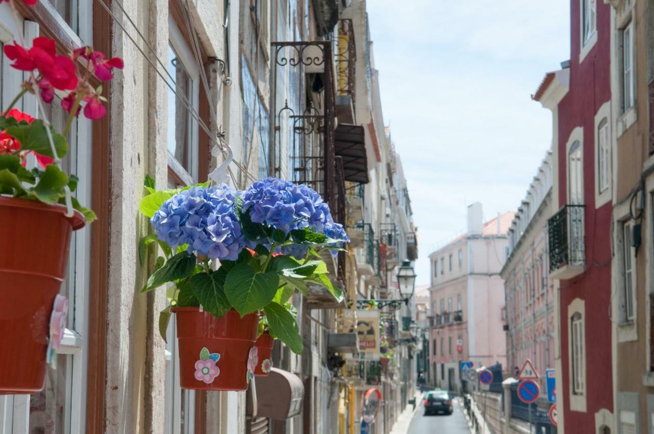 120 Passidico Leilighet Lisboa Eksteriør bilde